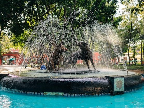 Fontanny wodne jako kluczowe atrakcje turystyczne miast – kompleksowe case study polskich realizacji